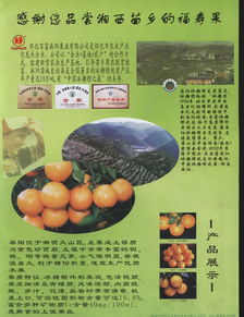 徐州農副產品中心批發市場 守護“菜籃子”安全，譜寫惠農興市新篇章